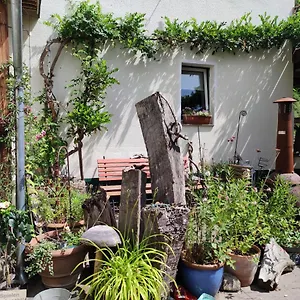 Gartenzimmer Mit Strassenbahn Zu Dom Und Messe Apartment Köln